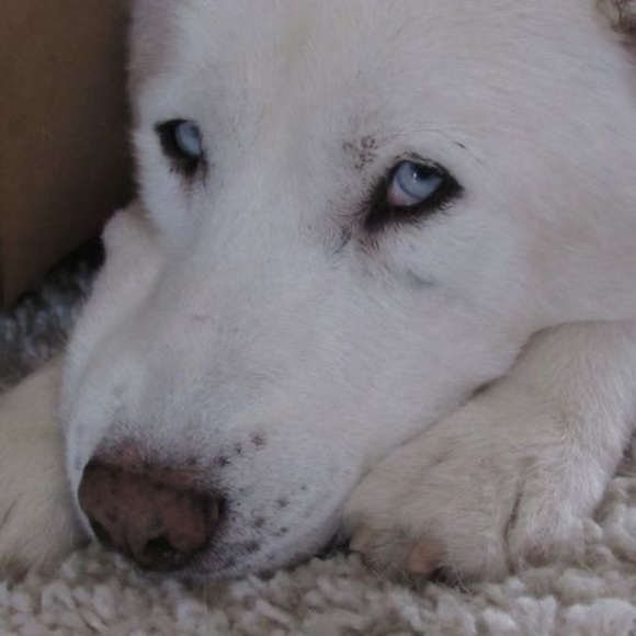 Meet your Posher, John - Picture 1 of 1